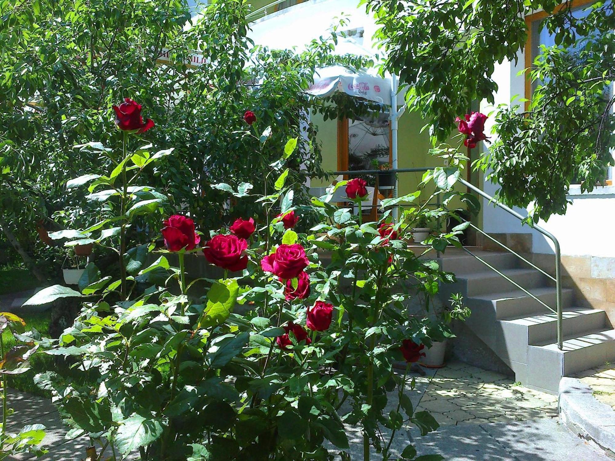 Family Hotel Sonata Samokov Exterior photo