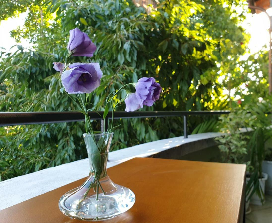 Family Hotel Sonata Samokov Exterior photo